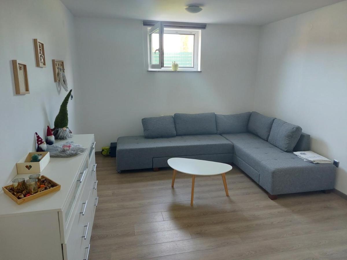 Spring And Summer Apartment Near Ljubljana With Free Secure Parking Domžale المظهر الخارجي الصورة
